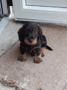 Ale už bych šel spát...