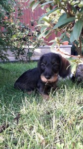 Edy zkoumá nový domov.