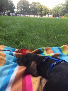 Taky jsem aktérem různých akcí, ale většinou mě hróóózně unaví. Billy