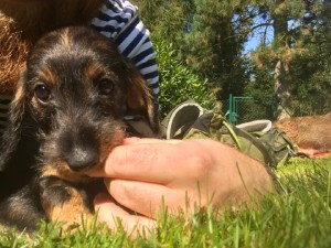 Ejka u nás před odjezdem, v pozadí máma Betty.