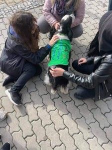 Pojďte ke mě, mám Vás všechny moc ráda, Mendy.