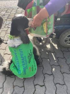 Nabízím lásku, něhu, vím, že to máte těžké, Mendy.