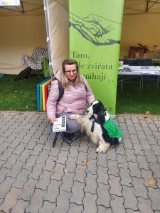 Canisterapeutický tým Naďa a Mendy.