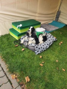 I čekat se musí v klidu.