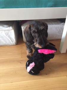 Ergusek - Billy je velký hračička.