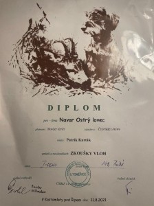 Diplom Navara, hlasitost měl za 4