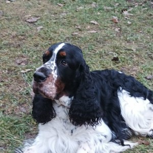 Ufff, už tu byla a roztál snih!