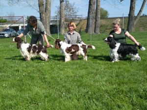 Zari, Xanny a Nero na Krajské výstavě.