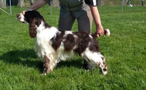 Zari z Větrné paseky - patnáct měsíců