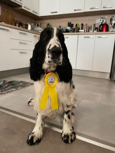 A výsledek - výborný 1, CAJC