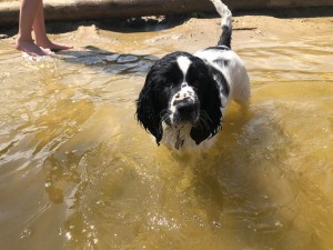 Voda není pro ní problém hned odmalička.