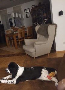 Arieta se má dobře.