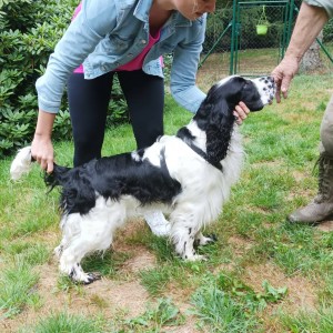 Zaira si zkoušela výstavní postoj.