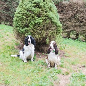 Zaira (Czarcinka) se svým bráškou Zarim.