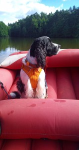 Tak vody se opravdu nebojím, Vigo.