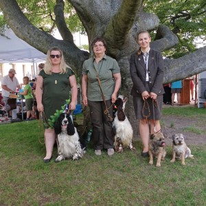 Myslivecký den v Děčíně 11.6.