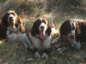 V lese se svou věrnou družkou Belinkou a synem Giulianem.