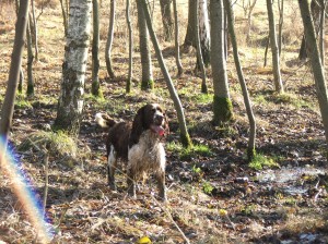 Měl rád bahno, mokro, ranní rosu...