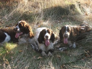 Rambo, Belí a jejich syn Giulian.