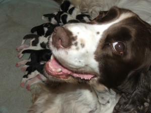 Belí byla skvělá matka.