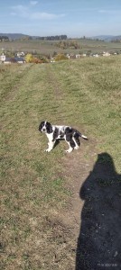 Nefoť a pojď a jdeme!!! Basky