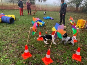 Bard navštěvuje psí školku.