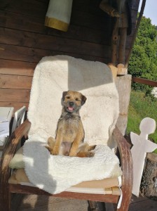 Sisi je opravdu královna!