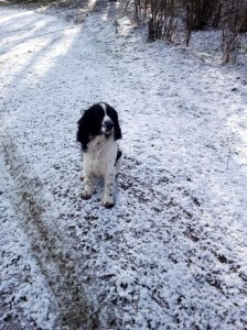 Zarek z Větrné paseky.