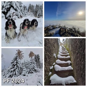 Hubert z Větrné paseky, Niké z Větrné paseky a Vigo Spodfinder.