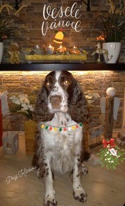 Uriana z Větrné paseky (Meggie)