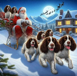 Pozdrav od majitelů, kteří měli Isoldu z Větrné paseky.