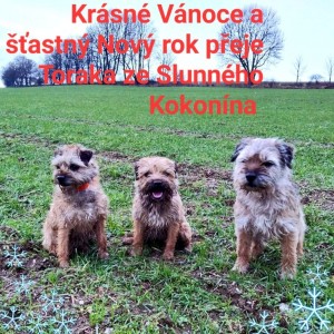 Bordíci ze Slunného Kokonína