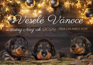 Kamarádi jezevčíci