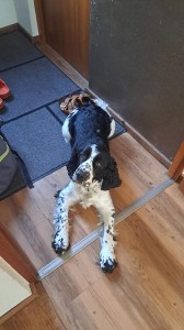 Arieta z Větrné paseky posílá pozdrav z Německa.