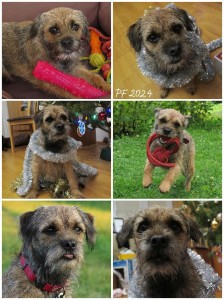 Přáníčko od majitelů Niké Ostrý lovec - Hyppinky.