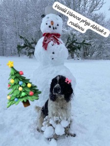 Agigail z Větrné paseky - coby sněhová královna.