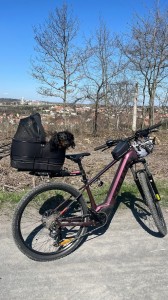 Na kole to Edymu sluší, má výlety na kole rád.
