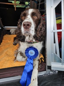 Uriana - Meggie úspěchy v noseworku, Artuš a Vigo úspěchy v záchranářině!