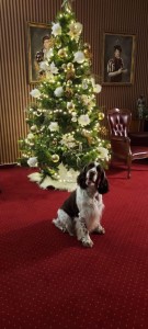 Doufám, že se ti budu Belinko líbit. Jsem moc hodný a hlavně jsem gentleman!