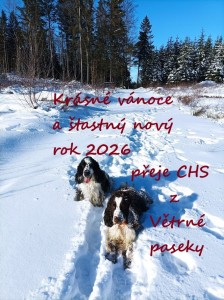 Barča a Zari (Medvěd)