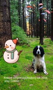 Basky z Větrné paseky