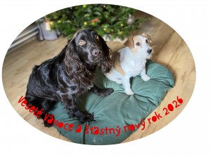 CHS kde působila na křepelačka Cira z Větrné paseky