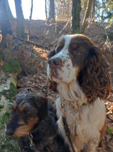 Xanny z Větrné paseky a její kámoška