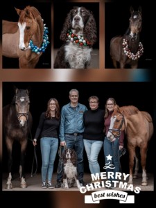 Kamarádi, kde chvíli bydlel náš Cardinal, který bohužel odešel z tohoto světa příliš brzy...a na fotce je jeho kámoš Aimy.