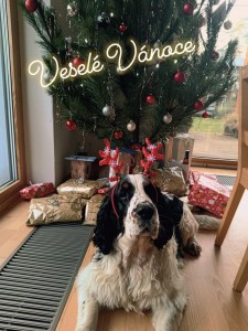 Bolt z Větrné paseky