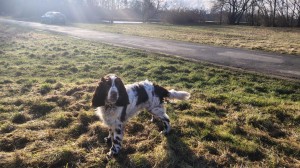 Dak z Větrné paseky