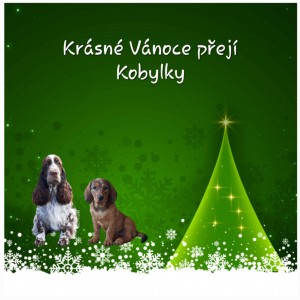 CHS z Jindřichovských luk