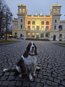 Uriana (Meggie) z Větrné paseky