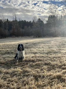 Ulrika (Nerunka) z Větrné paseky