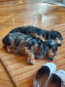 Ája a Dráček z Větrné paseky